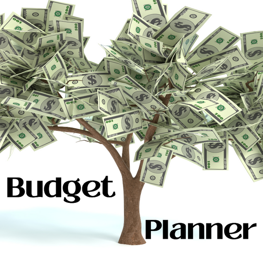 Budget Planner Journal Inserts – 56 Pages: Take Control of Your Finances